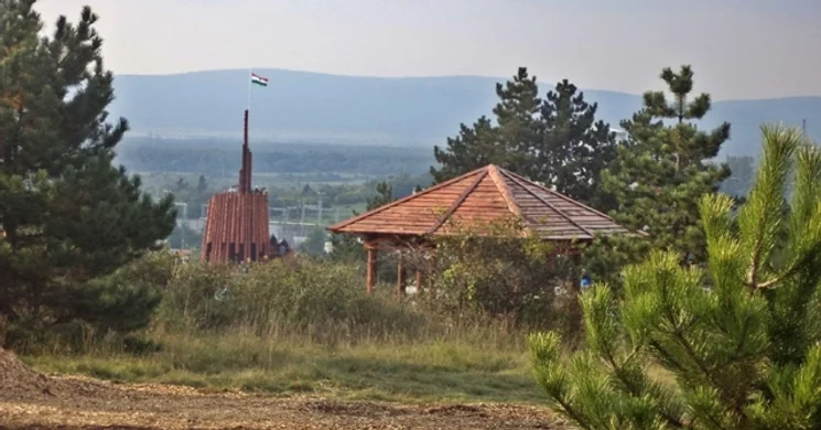 Fenyves tanösvény Veszprém