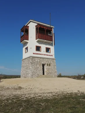 Maderspach Viktor-kilátó Várpalota