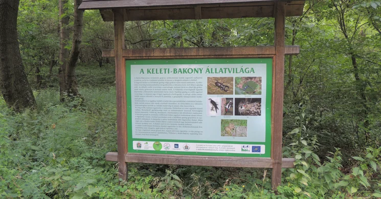 Várvölgyi tanösvény Várpalota