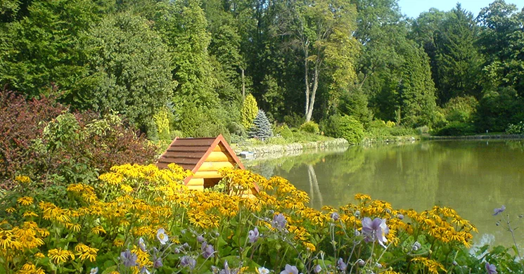Arborétum Zircen, látogatás hazánk legmagasabban fekvő élőfa-gyűjteményébe