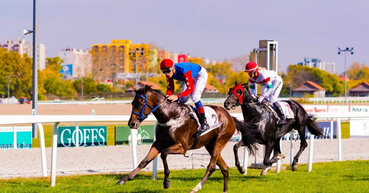 Budapesti lóversenyek titkai, városnéző séta a Kincsem Parkban