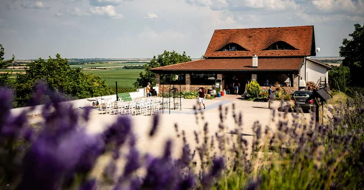 Bálint Borárium Pázmánd