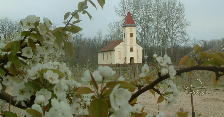 Bócsai programok 2025. Események, rendezvények