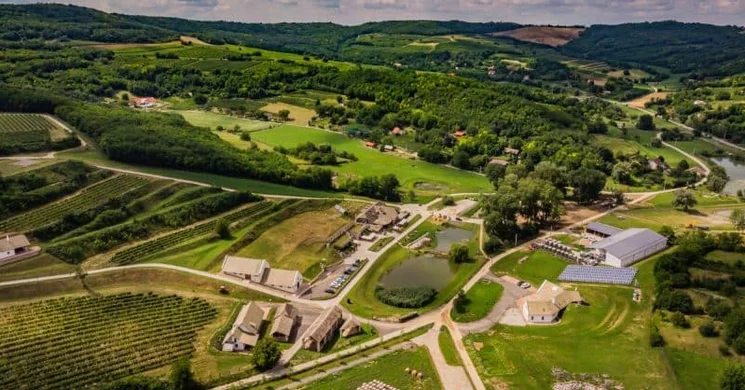 Bodri Pincészet és Szőlőbirtok Szekszárd