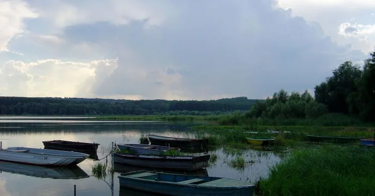 Fehérvárcsurgói-víztározó