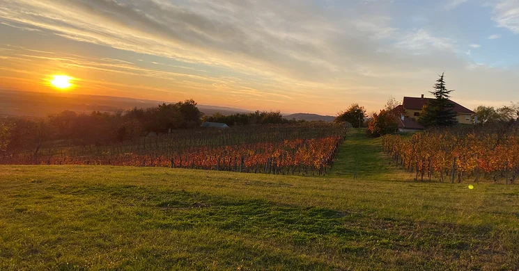 Bussay Pincészet Csörnyeföld