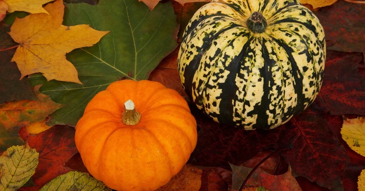 Halloween buli Érd 2025