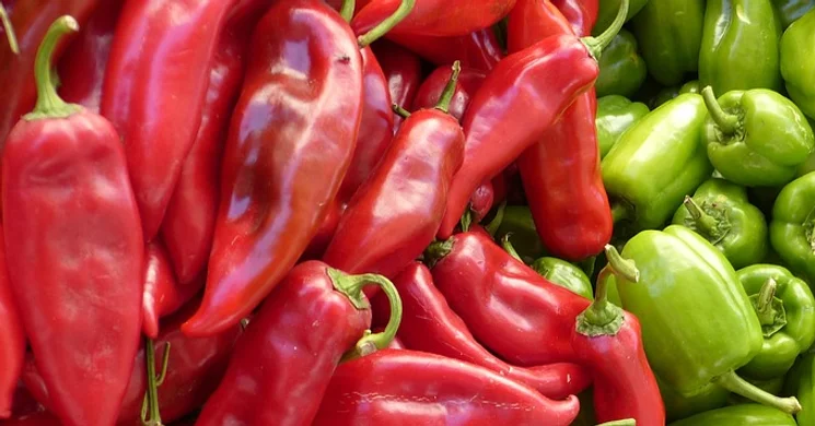 Termelői piac Rábapaty 2025