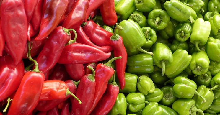 Római téri termelői piac 2025 Budapest