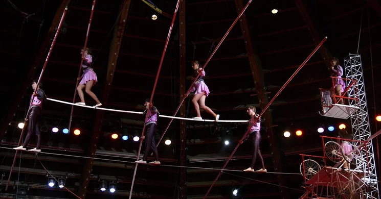 Cirkusz Kecskemét 2026 - Utazó cirkusz előadások