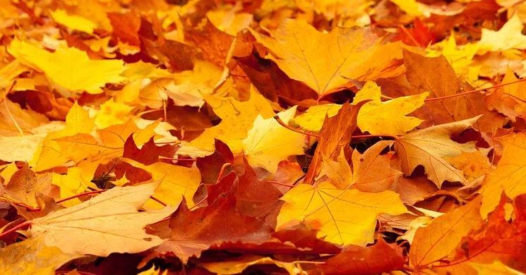 Hajdúszoboszlói őszi szünet programok 2025