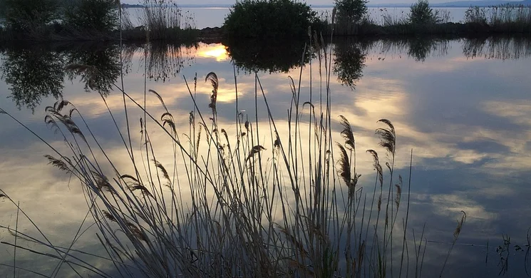 Balatoni gasztronómiai programok 2026