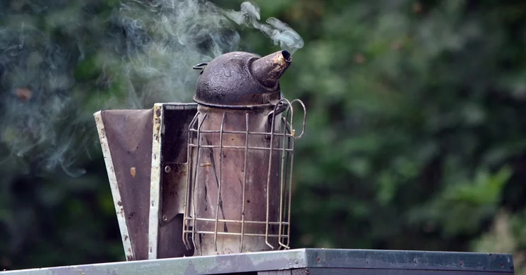 Állattenyésztési és Takarmányozási Kutatóintézet - Méhészeti Gyűjteménytár