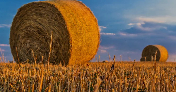 Aratónap Hunya 2025