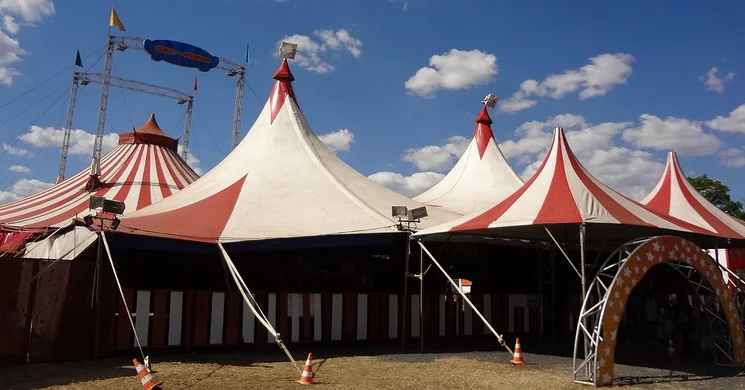 Cirkusz Kiskunfélegyháza 2025. Utazó cirkusz előadások