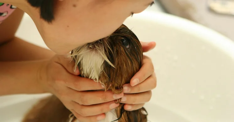 Július 6. A csók világnapja