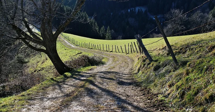 Hosszú-völgy tanösvény