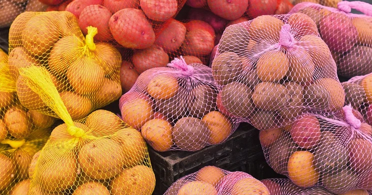 Termelői és Kézműves Vásár Medgyesegyháza 2026