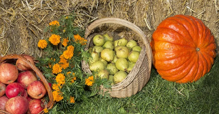Őszi szünet Zalakaroson 2025