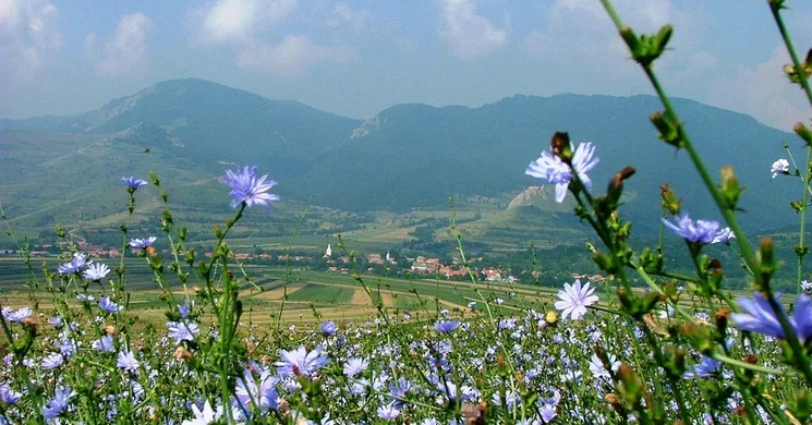 Programok Erdélyben 2025 / 2026