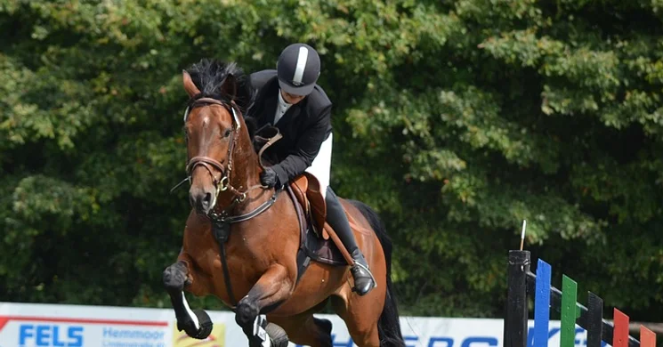 Kiskunhalas lovasverseny 2025. Díjugrató versenyek, lovas show