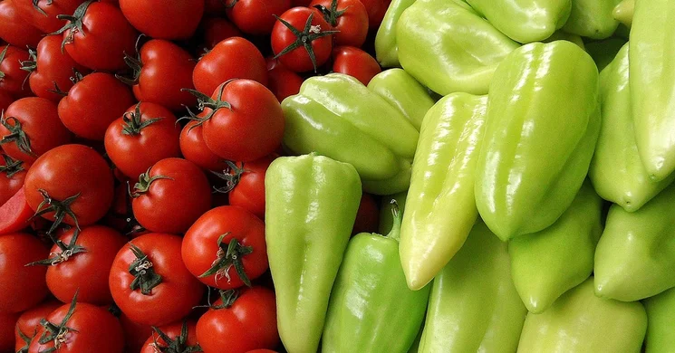 Dombegyházi piac 2025