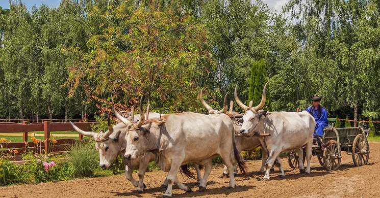 Hagyományőrző programok 2026. Fesztiválok, események, rendezvények