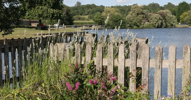 Desedai-parkerdő és arborétum Kaposvár