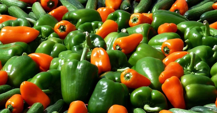 Békésszentandrás Piac