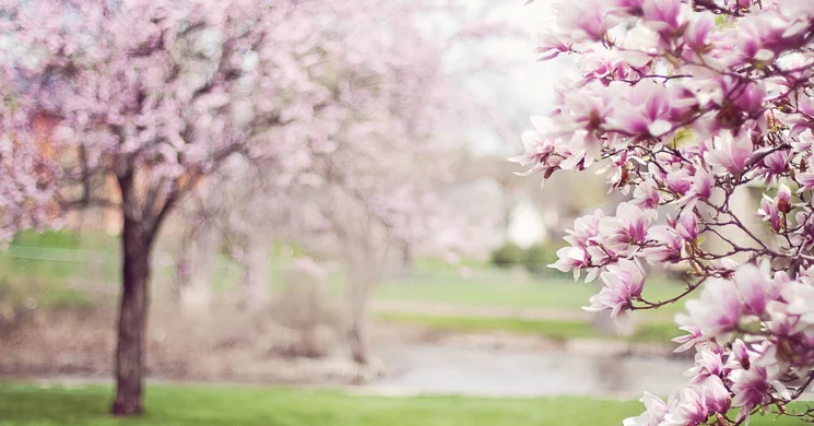 Tavaszköszöntő Harkány 2025