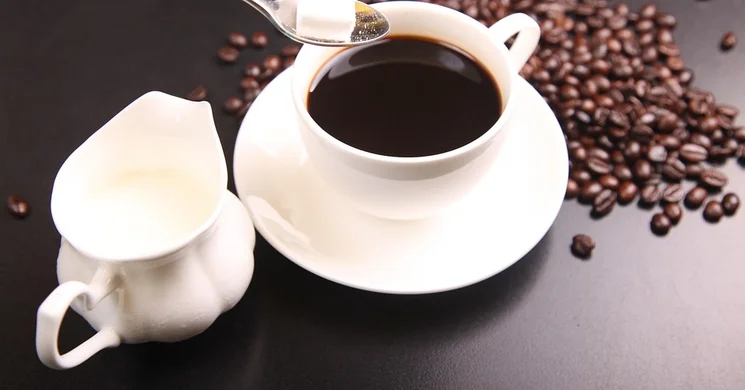 Monostori Erőd - Duna Bástya Kávézó