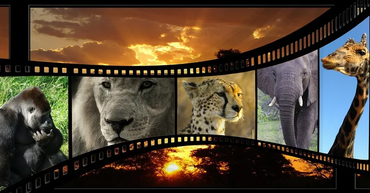 Természetfotó Fesztivál 2026 Budapest. CEWE Fotófesztivál