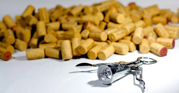 Gondűző Borlovagrend