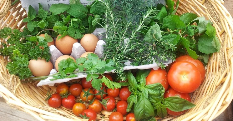 Piac Jászkarajenő 2025. Heti és őstermelői piac