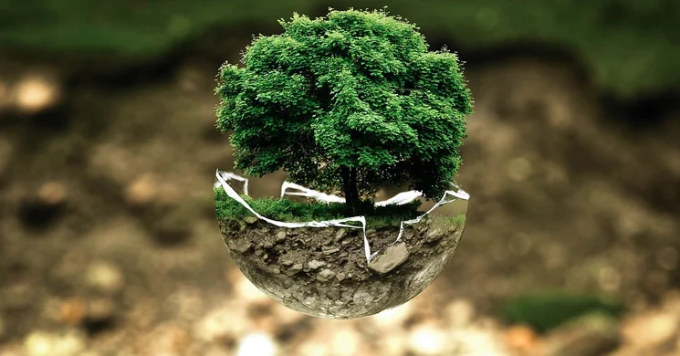 Június 5. Környezetvédelmi világnap