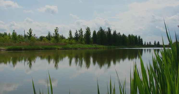 Öreg Csuka Horgásztó Halászi