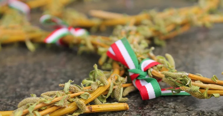 2025. március 15. Pomáz. Városi megemlékezés az 1848/49-es forradalom és szabadságharc tiszteletére