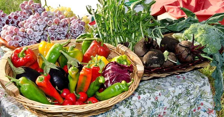 Kelenvölgyi Piac 2025