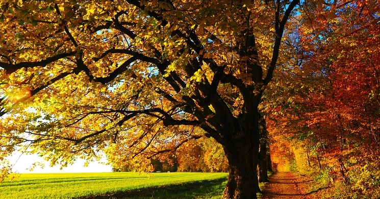 Balatoni őszi programok 2025. Fesztiválok, események, rendezvények