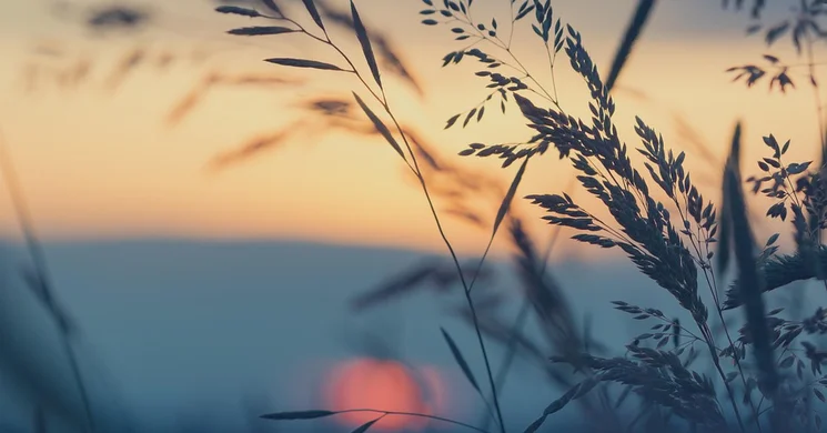 Nagyatád nyár 2025. Nyáresti színpadi programok Nagyatádon