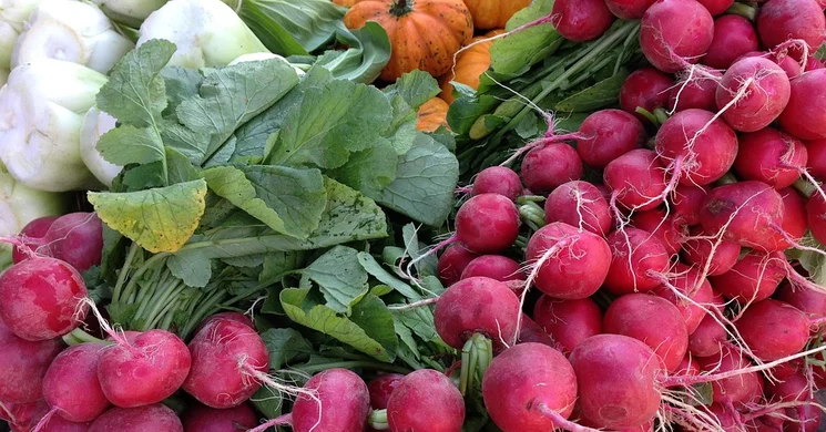 Szécsény Piac 2025