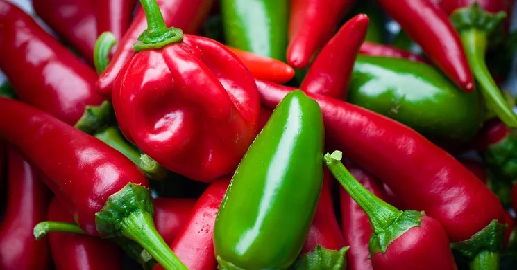 Fűszerfesztivál Boldog 2025. Paprikafesztivál