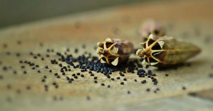 Magbörze 2025. Programok, események, rendezvények