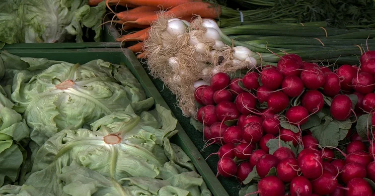 Rákócziújfalui Piac 2025