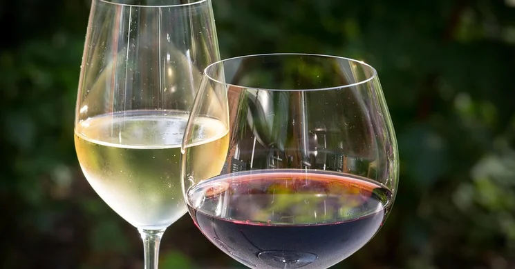 Badacsony New Yorkban 2025. Borkóstoló a budapesti New York Palotában