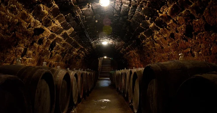 Krajcsi Családi Pincészet és Fogadó