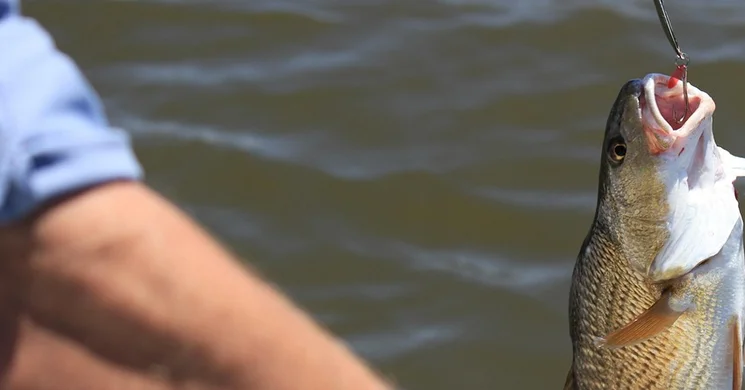 Balatonakali horgász programok 2025