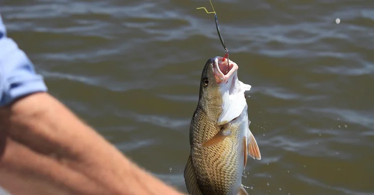 Komárom horgászat 2026 - Horgászversenyek a WF Szabadidőparkban