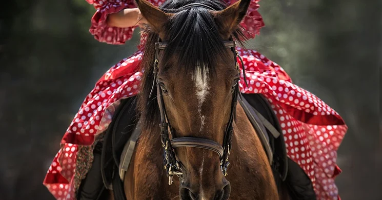 Lovas Farsang Nagyvázsony