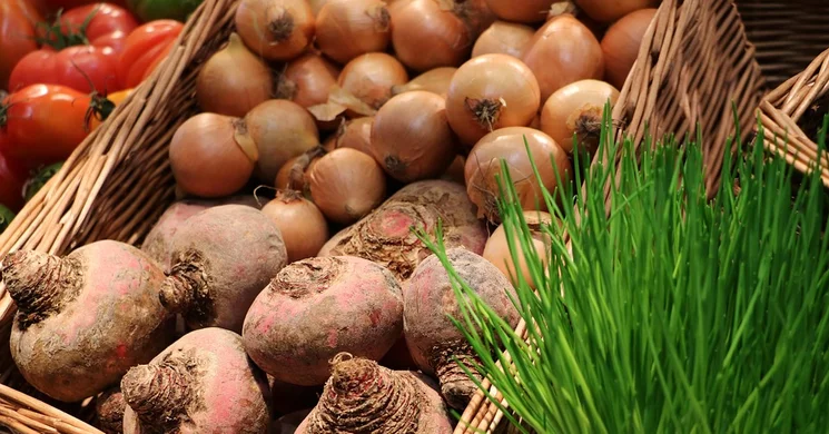 Őstermelői piac Nyírbátor 2026